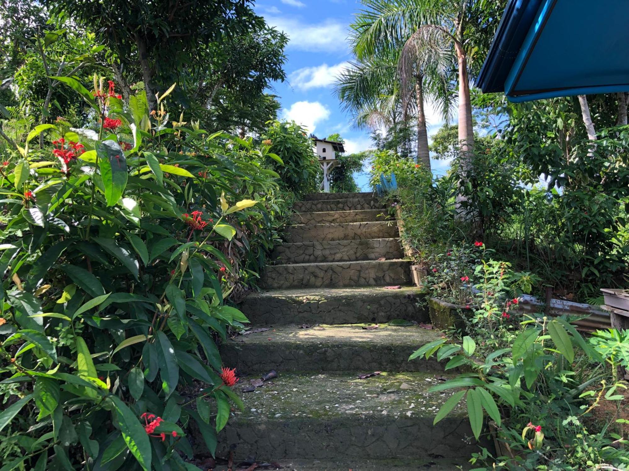 Santa Claus Hilltop San Vicente  Bagian luar foto
